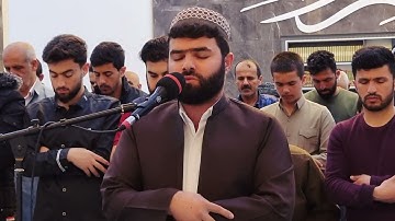 فجرية تدبرية وهادئة من سورة فصلت بصوت القارئ بيشةوا قادر مسجد صلاح الدين