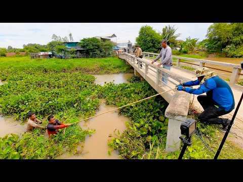 Extreme Cleanup Operation! Removing Tons of Water Plants!