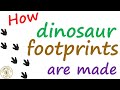 Dinosaur Footprints and Their Preservation