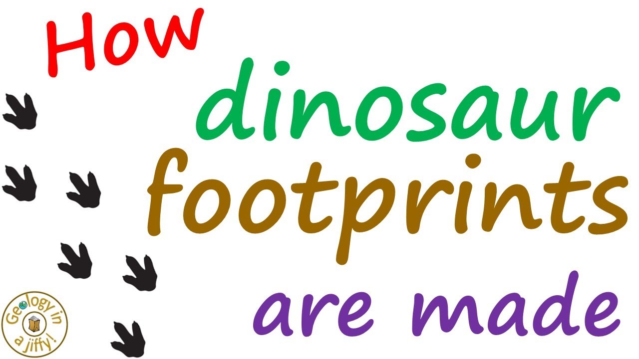 Dinosaur footprints - how they are made
