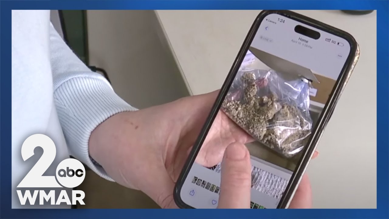 Man facing 56 charges related to pet cremation scam