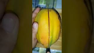 Cutting PAPAYA, Seedless or Not? #shorts #papaya #cutting #cuttingfruit