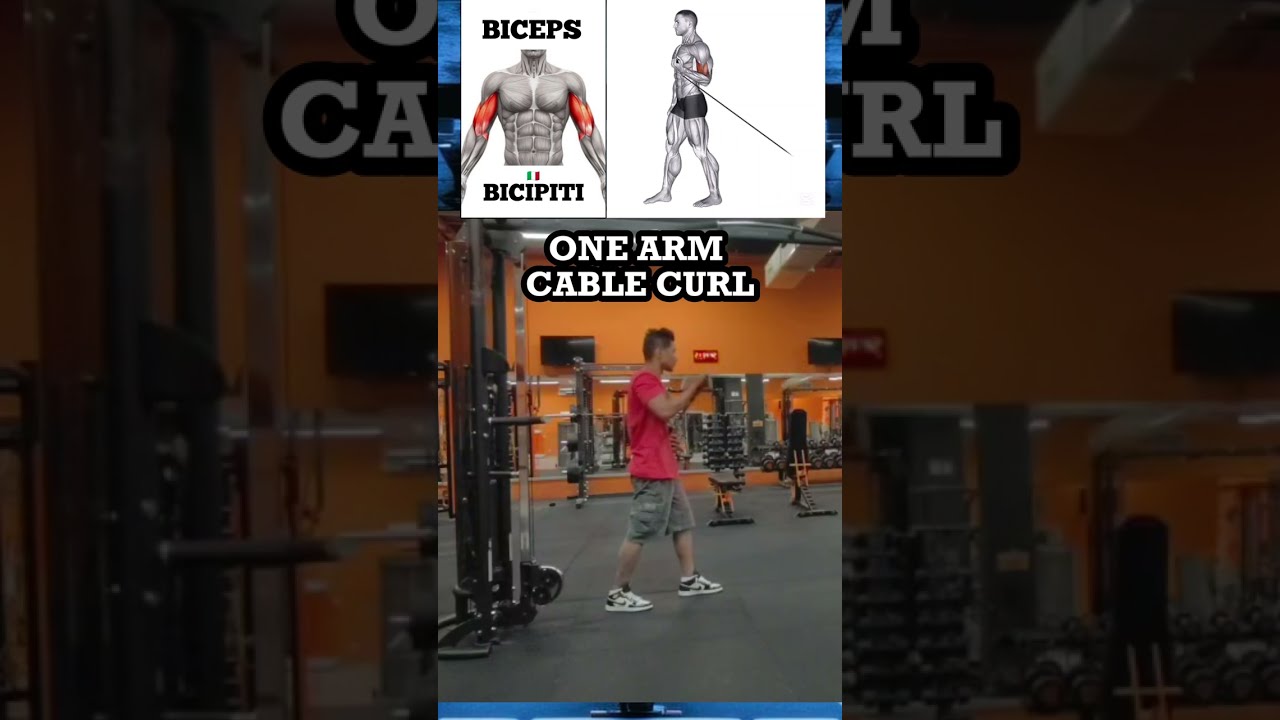 The Surprising Benefits Of Single Arm Bicep Curls