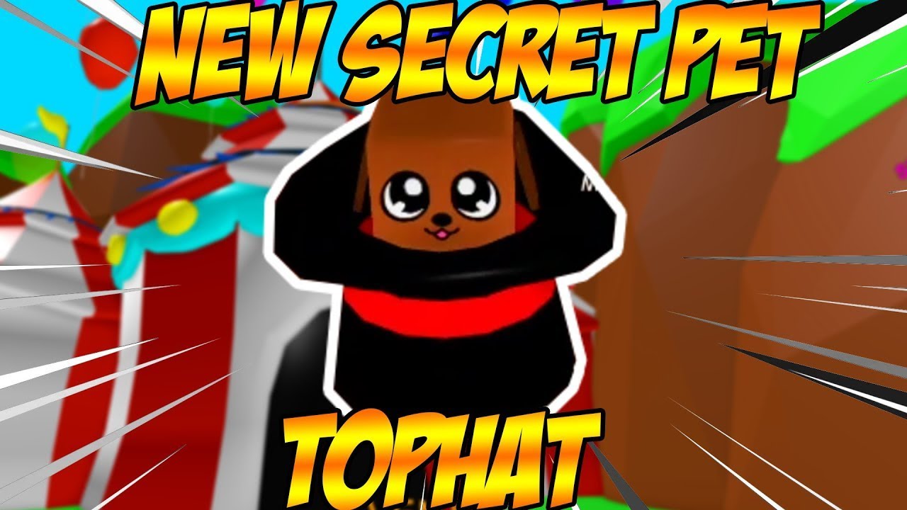 Spent All TICKETS For 6 NEW BEST SECRET Pets CODES In BUBBLE GUM SIMULATOR Roblox YouTube