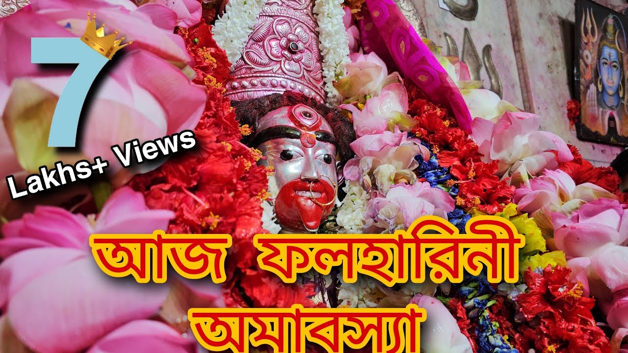 #falhariniamabasya 2023 | #tarapithlive | #tarapith_official