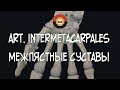 Межпястные суставы (art. intermetacarpeae)  3D Анатомия