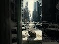 day 1 in a zombie city
