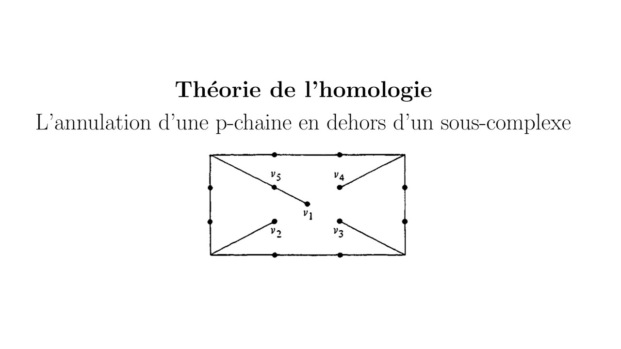 Théorie de l'homologie - Annulation des p-chaines en dehors d'un sous-complexe