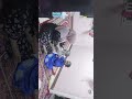 الشيله وقعت مني نجومي