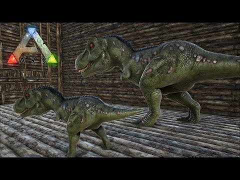 44 Ark Isl S3 突然変異こいやー ティラノサウルス レックス 兄弟ブリーディング開始 Pc版公式pve Ark Survival Evolved Youtube
