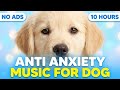 10 Hours Dog Sleep Music 🐶 Calming Music for Dogs with Separation Anxiety