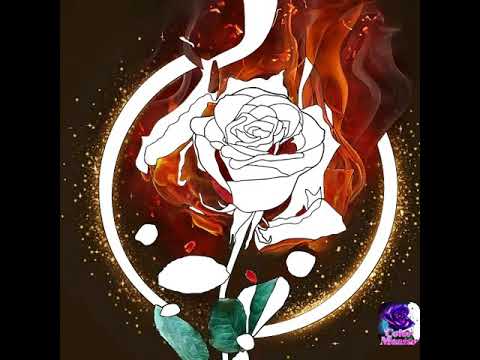 كأنه تحقيق أمنية طال إنتظارها وردة خيالية 