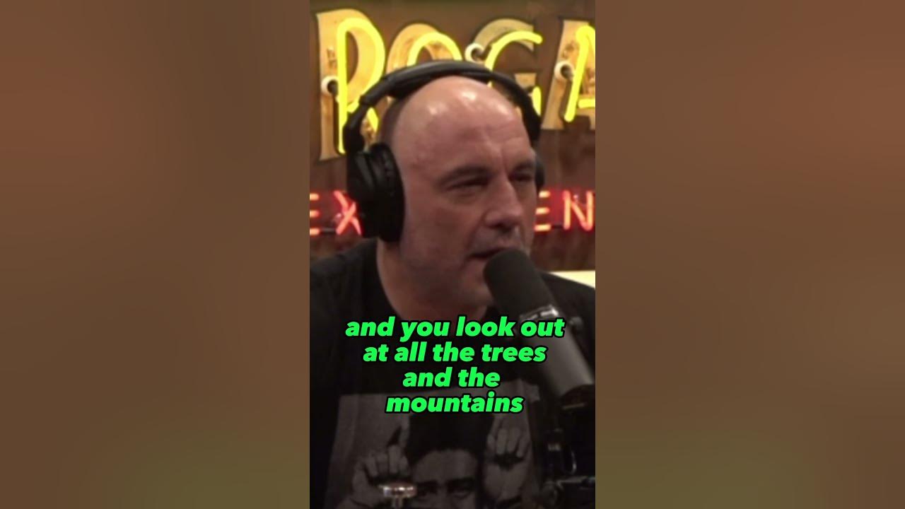 Joe Rogan and Rick Strassman | The BEST Setting for Psychedelic Trips