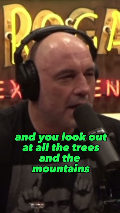 Joe Rogan and Rick Strassman | The BEST Setting for Psychedelic Trips
