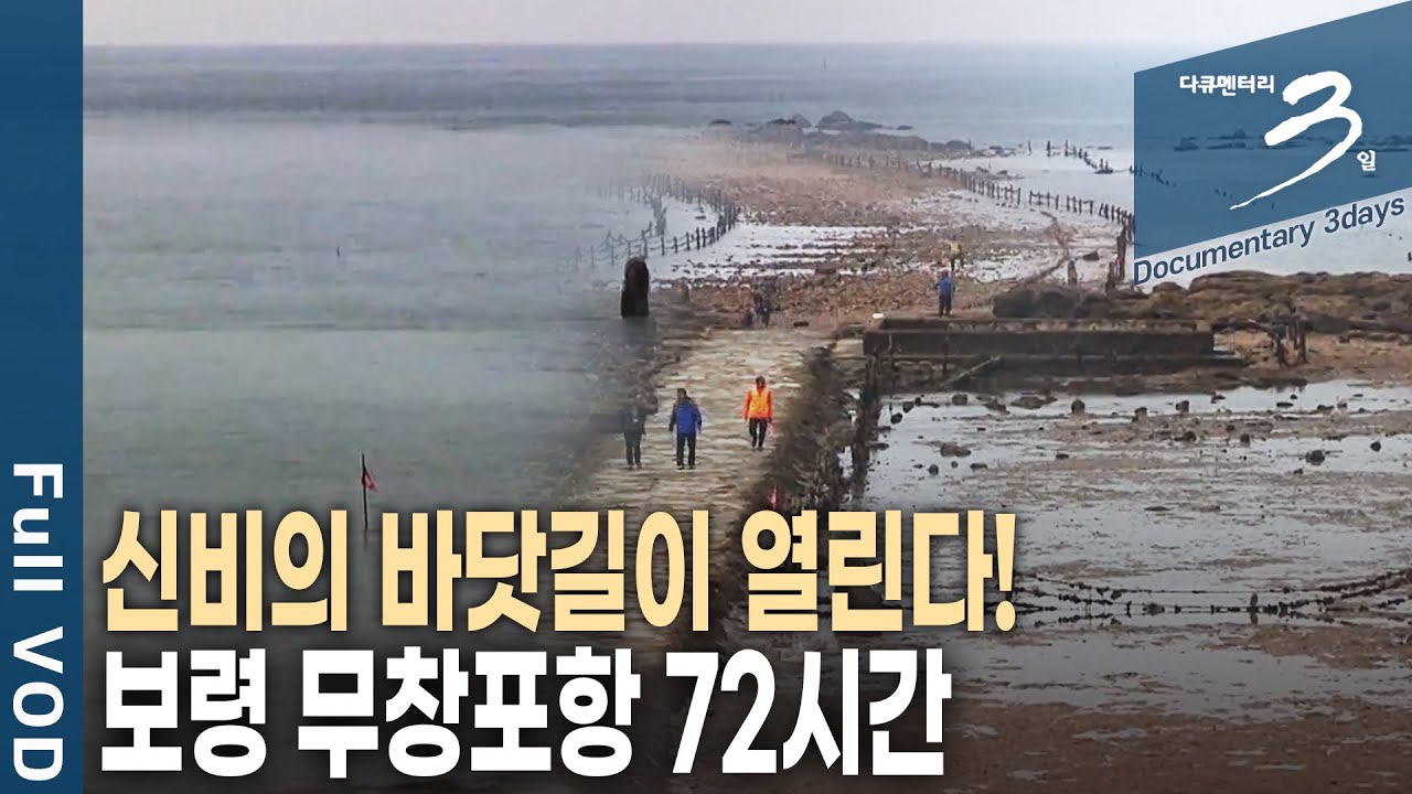3040 도시인들이 몰려든다! '바다가 좋다!' 충남 보령 무창포 72시간 [다큐3일 KBS 20191101 방송]