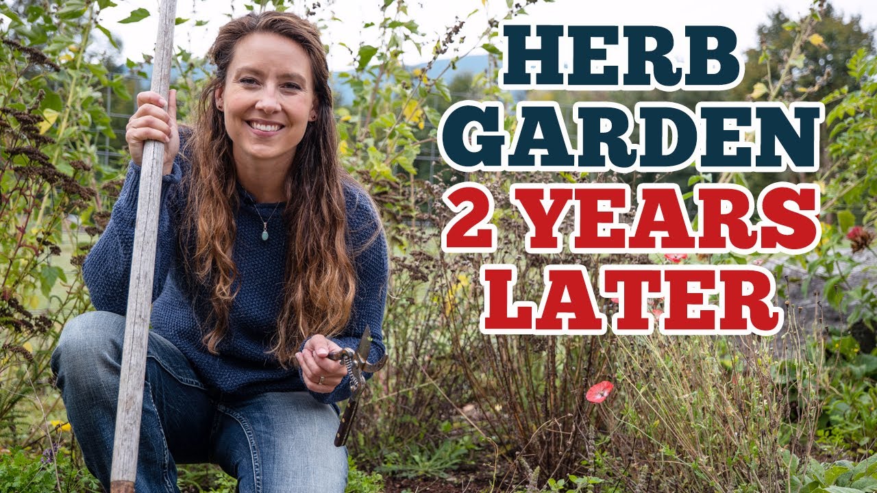medicinal-herb-garden-tour-w-seed-saving-fall-cleanup-tips-youtube