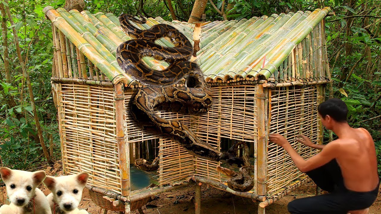 Build Bamboo Python Snake House And Build Mini Swimming Pool For Python ...