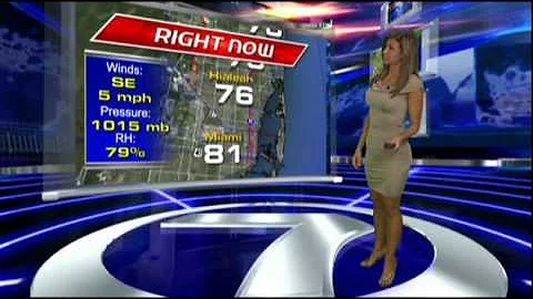 WSVN Weather Julie Durda tight grey dress 6/21/2011