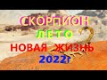 СКОРПИОН 🦂. ЛЕТО 2022г. Новая жизнь. Любовь, работа, финансы.