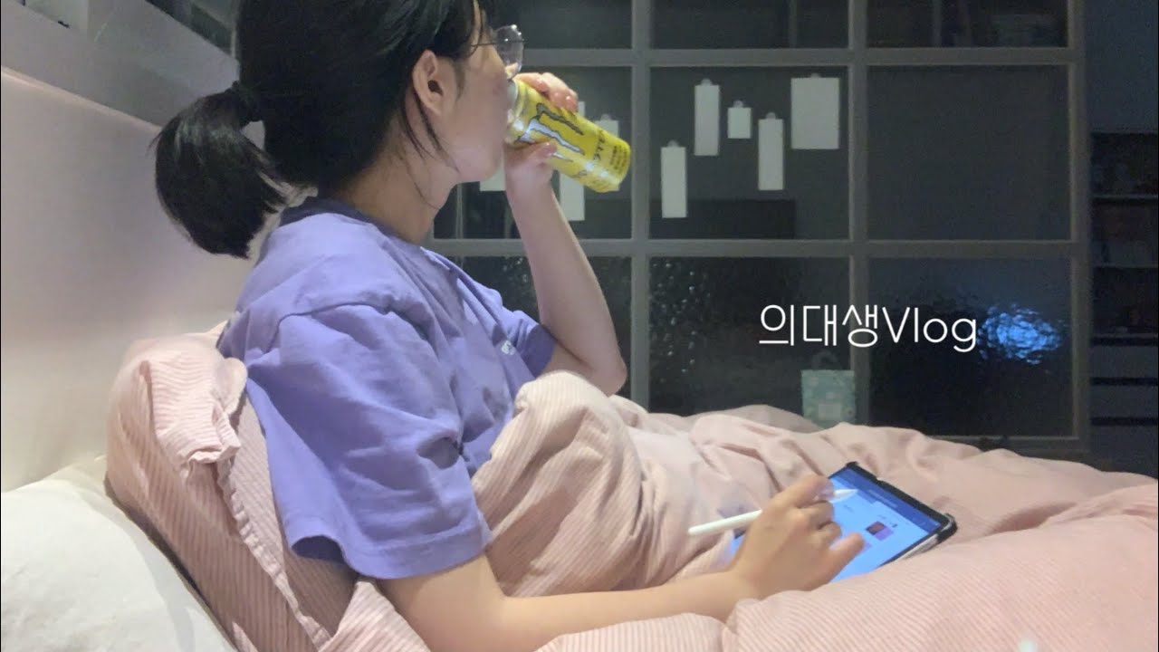 (Eng) 의대생vlog | 본과 2학년 시험 전 48시간 브이로그. 근데 이제 Q&A를 곁들인