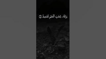 القارئ سعد الغامـدي سورة العاديات