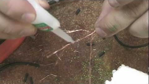 Tree Jam-Boree: Part 1