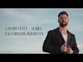 Calum Scott - Flaws (Lirik Terjemahan Indonesia)