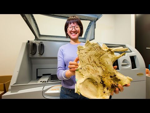 3D printed fish fossil may reveal origin of human teeth