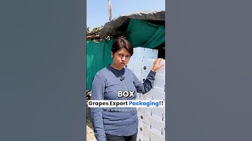 Grapes Export Packaging!! #kdsushma #exportimport #grape #packaging