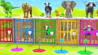 Long Slide Game With Elephant Gorilla Buffalo Hippopotamus Tiger - 3d Animal Game - Funny 3d Animals