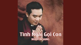 Video thumbnail of "Nguyên Sang - TINH NGAI GOI CON"