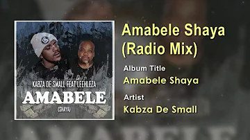 Kabza De Small FT Leehleza - Amabele Shaya (Radio Mix) Official Song (Audio) - South Africa Music