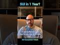 SUI Co-Founder Drops 1-Year Prediction 🚀 #Sui #Crypto #podcast #startup #interview #nobatidao