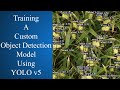 Train custom object detection model with YOLO V5