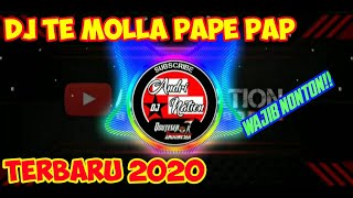 DJ TE MOLLA PAPE PAP VIRAL TIK TOK || REMIX FULL BASS TERBARU 2020