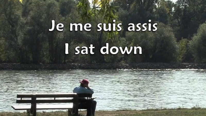 "Aline" By Christophe (With French & English Subtitles)