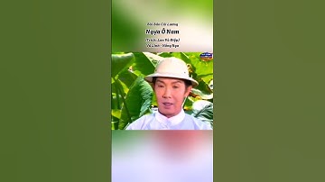 Ngựa Ô Nam - Vũ Linh vs Hồng Nga, trích trong vở cải lương "Lan Và Điệp"