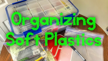 How I Organize My Soft Plastics