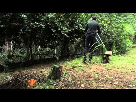 Vídeo: Alimentando um arbusto de louros da montanha - Como fertilizar os louros da montanha