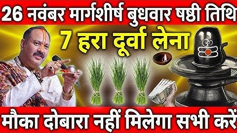 26 नवंबर मार्गशीर्ष बुधवार षष्ठी तिथि के दिन 7 हरा दूर्वा वाला उपाय जरुर करे || Pradeep Ji Mishra 