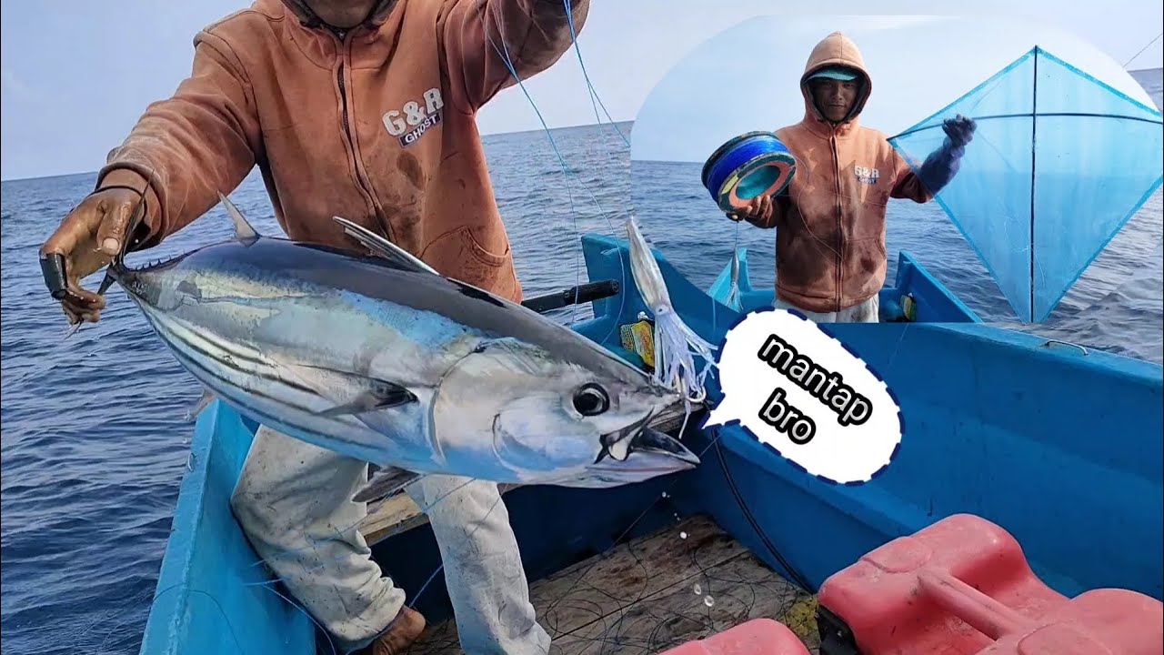 MANCING IKAN CAKALANG menggunakan teknik layang-layang