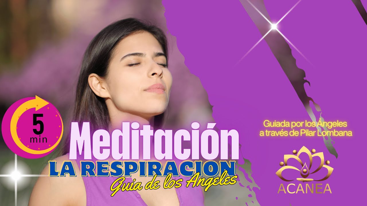 5 Minutos de Paz: Meditación Guiada para tu Respiración - YouTube