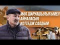 МАЛ ШАРУАШЫЛЫҒЫМЕН АЙНАЛЫСЫП КОТТЕДЖ САЛДЫМ | МАЛ ШАРУАШЫЛЫҒЫ | БИЗНЕС БАСТАУ