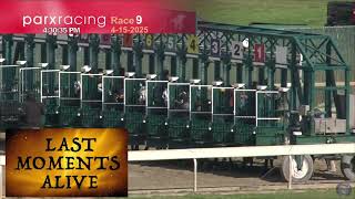 Memorial for Traders Luck KILLED AT ParxRacing 4 15 25