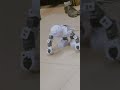 Robot#learning coder#shortvideos #viralshort#software engineer#java#coding#web developer#AIML#python