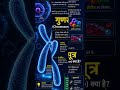 DNA, Gene और Chromosome क्या है? 🧬 | Genetics Explained in Hindi #shorts