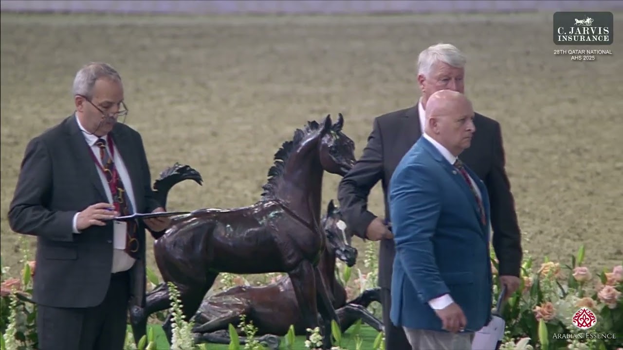 N 187 NADIM TN   28th Qatar National AHS 2025   Yearling Colts Class 6A