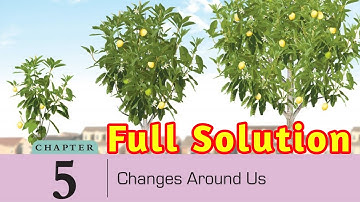 |Changes Around Us Solution|DAV Class 6 Science Ch 5 Solution|