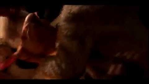 Random Rab - The Riddle (The music video)