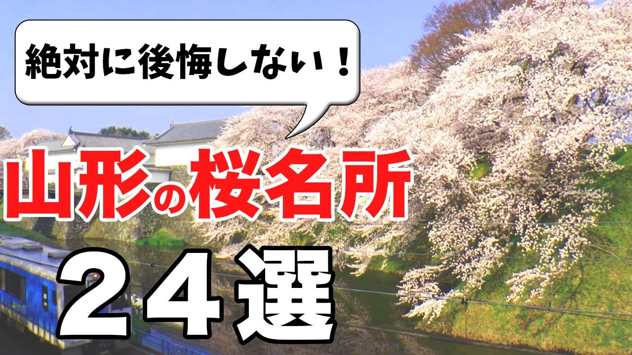 【山形の桜名所】誰もが感激する最強桜スポット24選